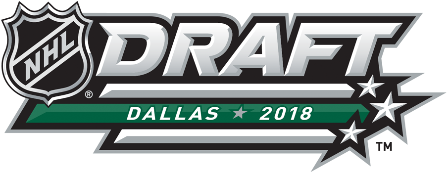 NHL Draft 2018 Alternate Logo DIY iron on transfer (heat transfer)